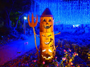 埼玉県・滑川町にある森林公園のイベントがすごい！　光と森のコントラスト